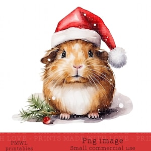 Kerst Cavy cavia sublimatie ontwerp winkelen Teddy kaart maken scrapbooking boog maken klein commercieel gebruik Instant download