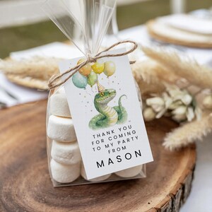 Può includere: Un sacchetto trasparente pieno di marshmallow, legato con spago e un'etichetta. L'etichetta presenta un'illustrazione ad acquerello di un serpente verde con un cappello da festa e palloncini. Il testo sull'etichetta recita: "GRAZIE PER ESSERE VENUTO ALLA MIA FESTA DA MASON".