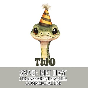 Anniversaire serpent deux Clipart PNG fichier Joyeux 2e anniversaire T-shirt fabrication de cartes Anniversaire Artisanat d'anniversaire Téléchargement instantané