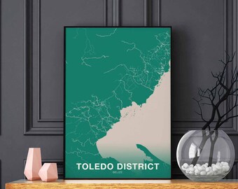 TOLEDO DISTRICT Belize map poster color Hometown City Print Modern Home Decor Office Decoration Wall Art Dorm Bedroom Gift
