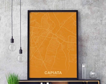 CAPIATA Paraguay map poster color Hometown City Print Modern Home Decor Office Decoration Wall Art Dorm Bedroom Gift