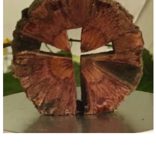 Banksia Nut Cross