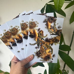 Ontario Wildflower Note Cards, Set of 5, Digitally Printed Botanical Card Set, Greeting Card, Dried Flowers Design