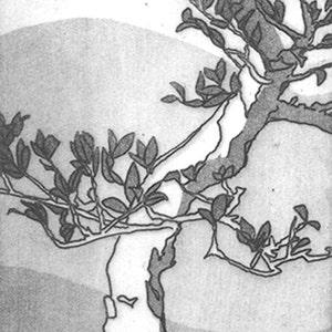 Puede incluir: Ilustraci&oacute;n en blanco y negro de un &aacute;rbol con hojas. El tronco es claro, las ramas y las hojas son oscuras. El fondo tiene un degradado de gris claro y oscuro.