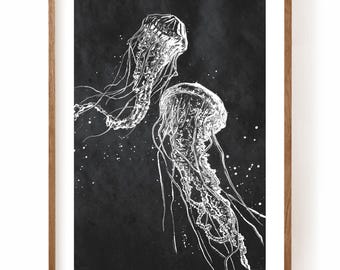 CRIATURAS MARINAS - Medusas, Pulpos, Tortugas y Plancton