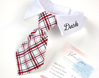 Custom necktie. Personalized with name Necktie cats and dogs, pet clothing. Pets Outfits. Formal collar gifts. Three sizes available