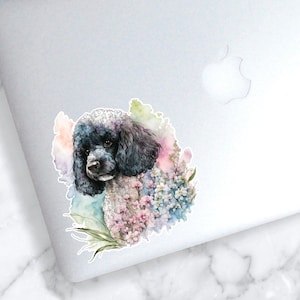Floral Poodle Sticker | Watercolor Dog Sticker | Flower Dog Car Decal | Floral Black Poodle Sticker | Poodle Decal | Dog Decal