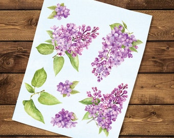 Lilac Branch Decal Pack | Watercolor Floral Vinyl Decals | Purple Flower Sticker Sheet | Lilac Flower Stickers