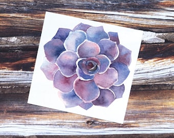 Purple Succulent Vinyl Sticker | Watercolor Succulent Vinyl Sticker | Tumbler Decal | Succulent Decal | Succulent Sticker