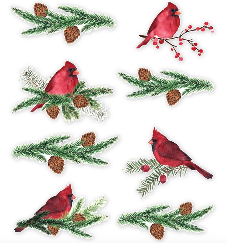 Cardinal Decal Pack Watercolor Cardinal Vinyl Decals Etsy