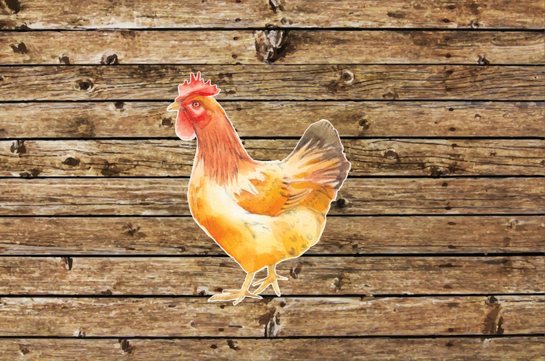 Chicken Iron On Decal Chicken Heat Transfer Decal Chicken Etsy