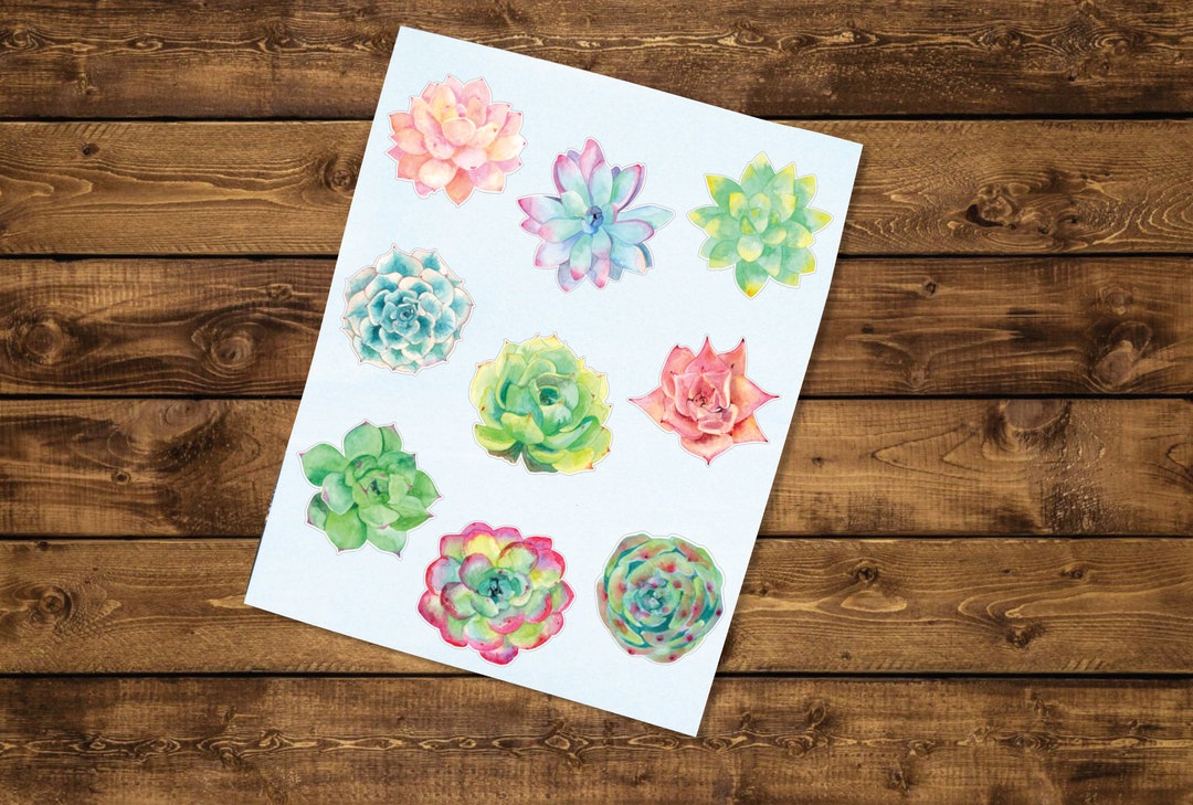 Succulent Decal Pack Watercolor Succulent Vinyl Decals Etsy