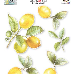 Lemon Branch Mixer Decals Lemon Decals Watercolor Lemon Stickers Stand Mixer Decals Kitchen Sticker Lemon Kitchen Decor image 2