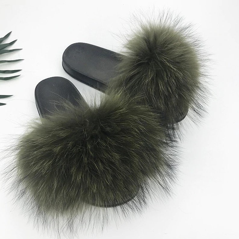 racoon slides