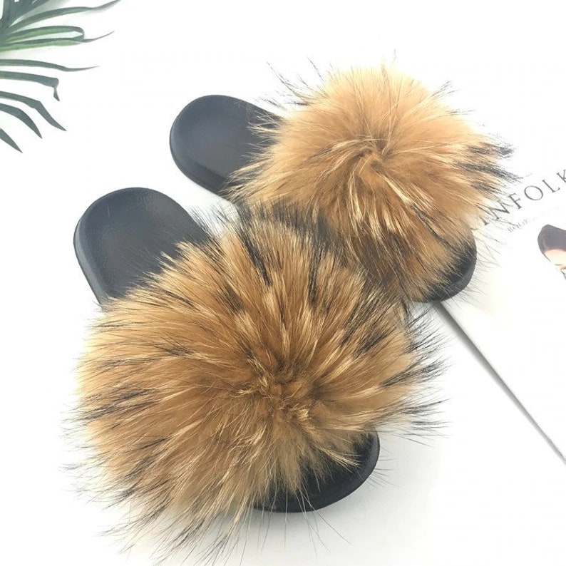 racoon slides
