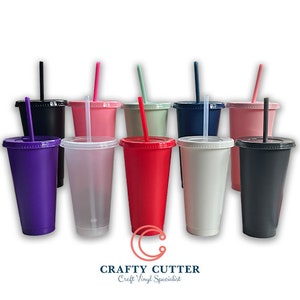 24oz Cold Cup Tumblers | With Lid and Straw