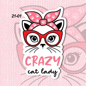 Cat Lady Vinyl Sticker LS0021 Messy Bun Cat Glasses Funny Sayings image 3