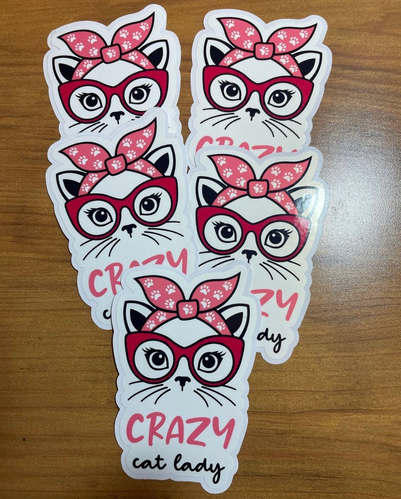 Cat Lady Vinyl Sticker LS0021 Messy Bun Cat Glasses Funny Sayings image 4