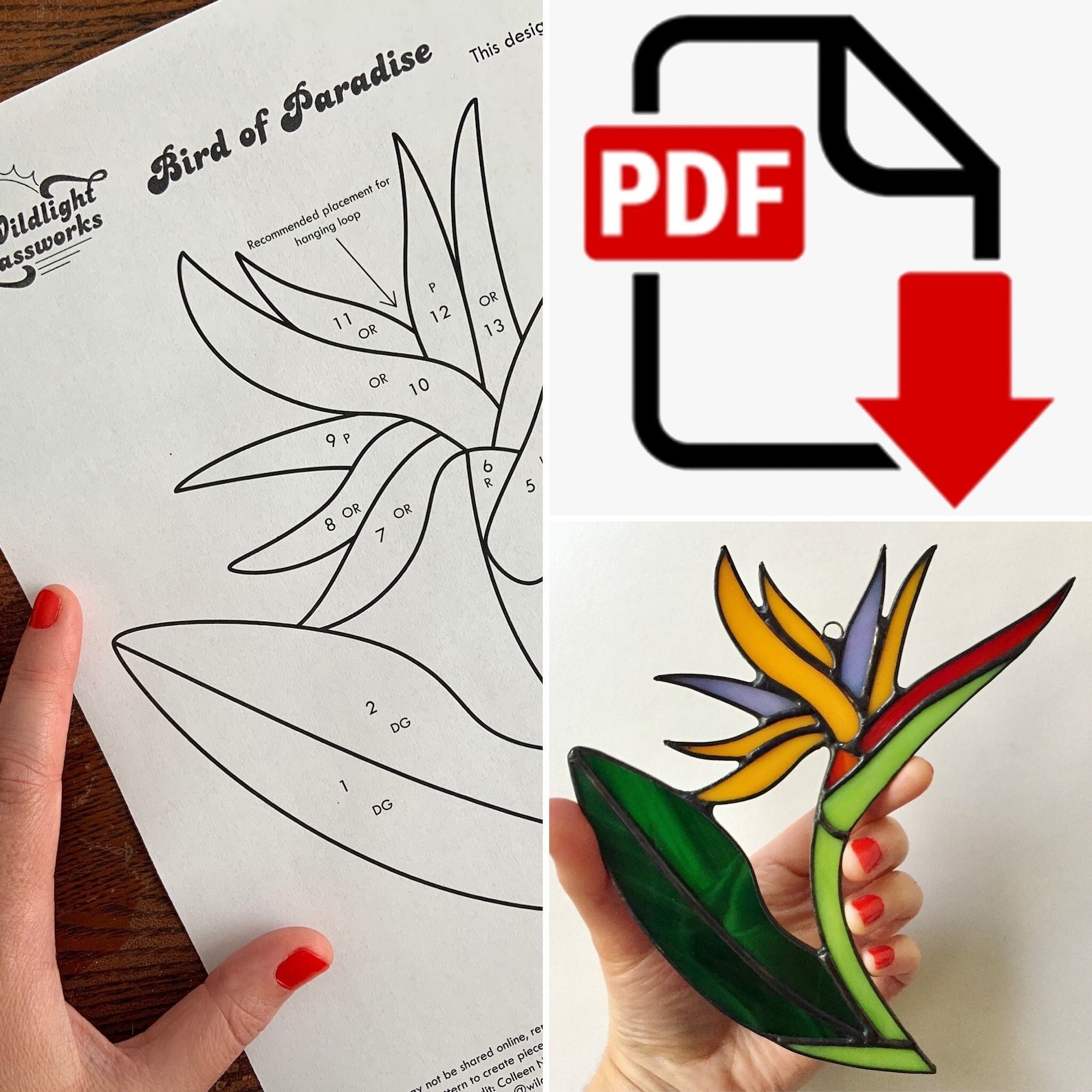 Bird of Paradise Flower | DIGITAL DOWNLOAD Stained Glass Pattern ...