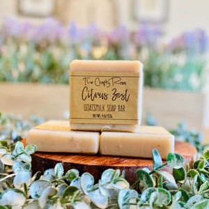 Handmade Citrus Zest Goats Milk Soap Bar with Oatmeal