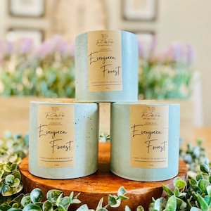 Evergreen Forrest Coconut Soy Candle|Soy Candle|Wooden Wick Candle|Cement Candle|Concrete Candle|Handmade |Cement Planter|Unique Candles|