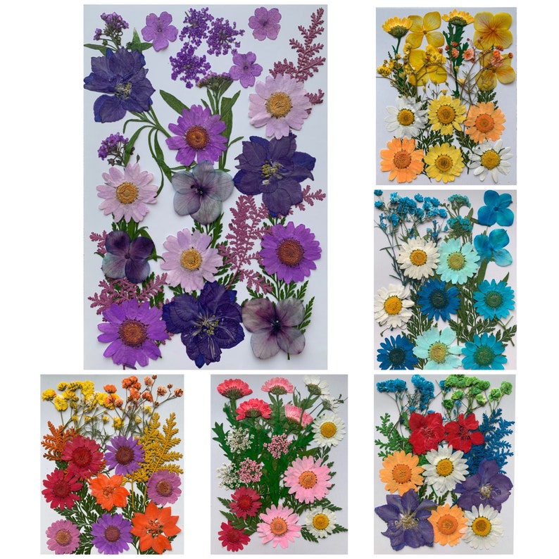 Dried flowers natural flowers and leaves assorted dried Etsy