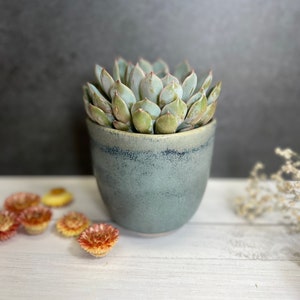 Unique Ceramic Planters: Rustic Blue, Vibrant Orange, and Hand-Painted Flowers & Bees Design, Succulent lover gift, Gardening