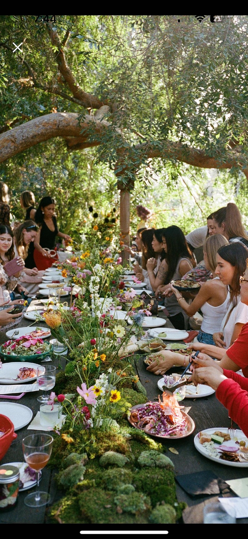 Bulk Sheet Moss ~ Feather Moss 8 square feet, Fresh Moss, NOT PRESERVED, Landscaping, Woodland Wedding Decor, Floral Supplies, Kokedama image 10
