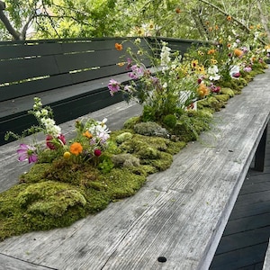 Bulk Sheet Moss ~ Feather Moss 8 square feet, Fresh Moss, NOT PRESERVED, Landscaping, Woodland Wedding Decor, Floral Supplies, Kokedama image 2