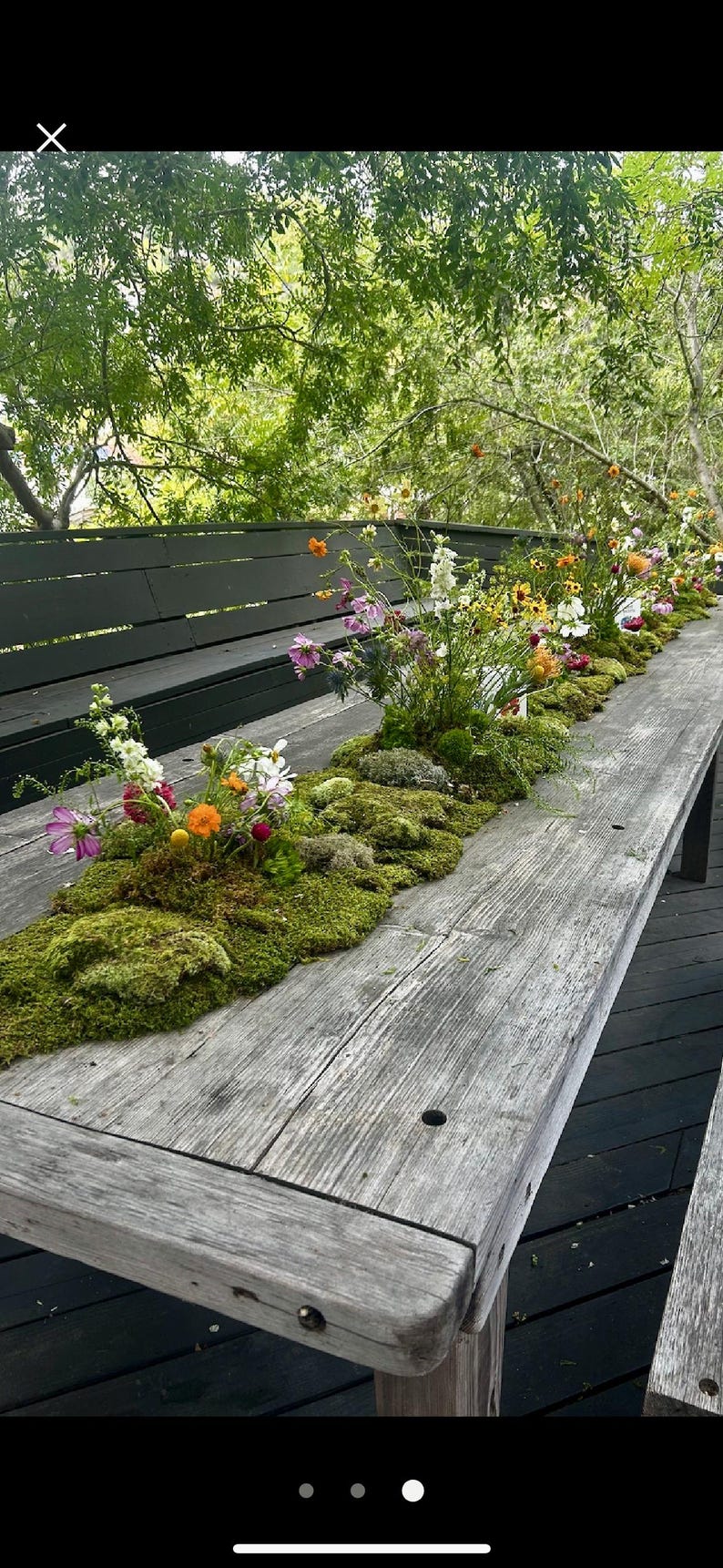 Bulk Sheet Moss ~ Feather Moss 8 square feet, Fresh Moss, NOT PRESERVED, Landscaping, Woodland Wedding Decor, Floral Supplies, Kokedama image 2