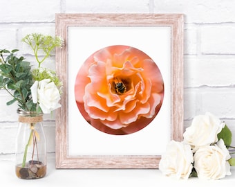 Afdrukbare Art - mooie oranje Open bloem met Bee cirkel foto - muur Office Home Decor