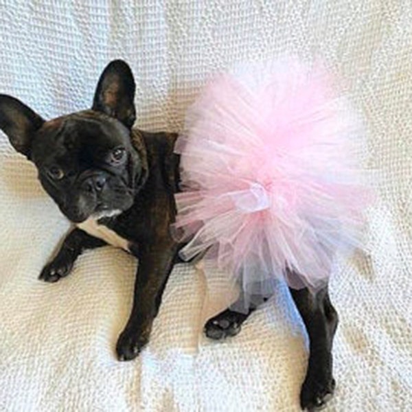 Pretty in Pink Tutu for Birthday or Special Event