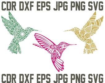 Download Hummingbird Svg Etsy