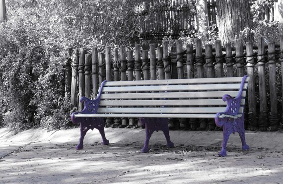 Park Bench Photography Park Bench Print Park Bench Park Etsy