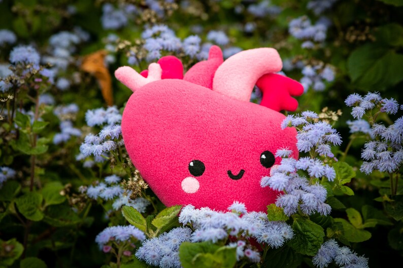 Heart Kawaii Plush Anatomical Heart Kawaii Plush Handmade Soft Etsy