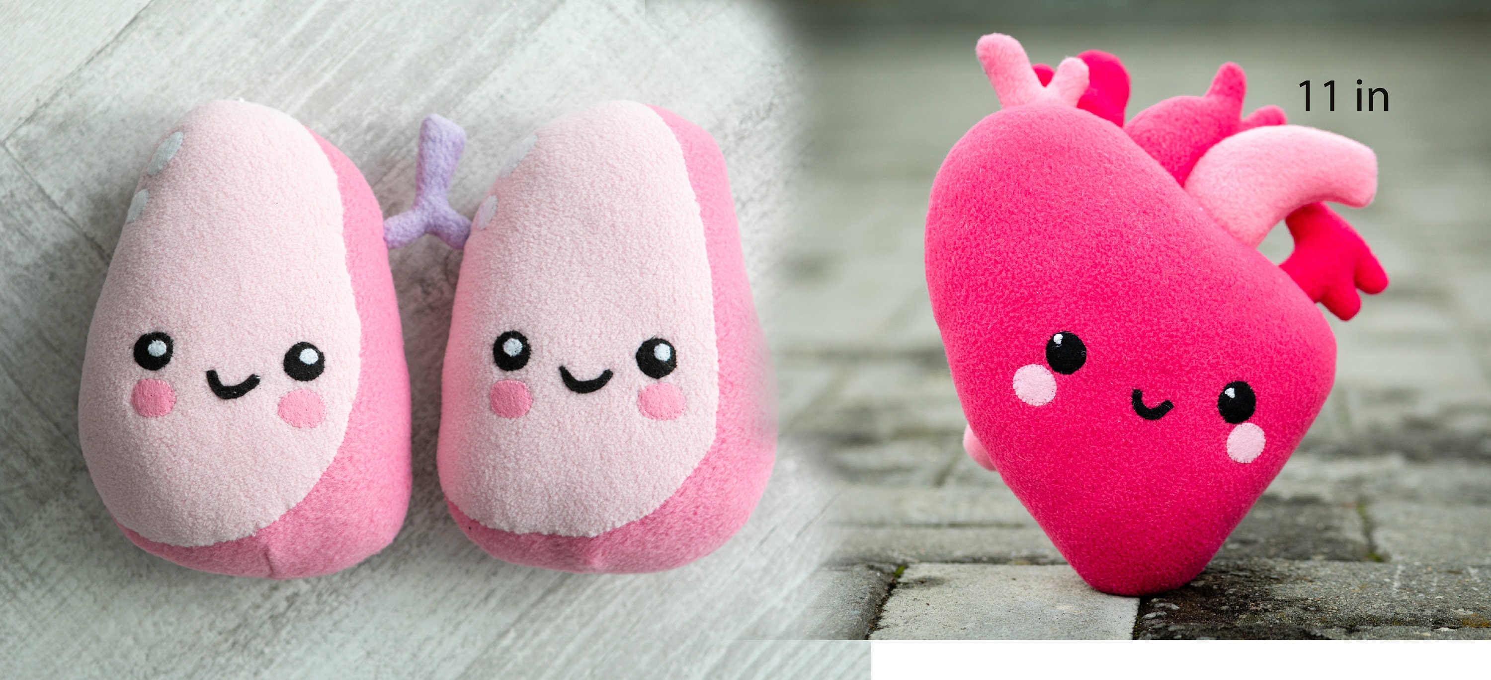 anatomically correct plush beating heart