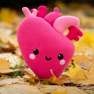 Heart Kawaii plush Anatomical Heart Kawaii plush Handmade soft decoration Heart plushie 11 in x 8.5 in