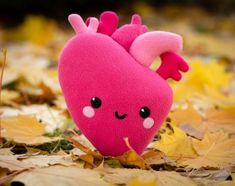 Heart Kawaii plush Anatomical Heart Kawaii plush Handmade soft decoration Heart plushie 11 in x 8.5 in