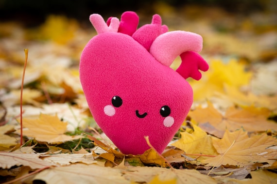 Heart Kawaii Plush Anatomical Heart Kawaii Plush Handmade Soft