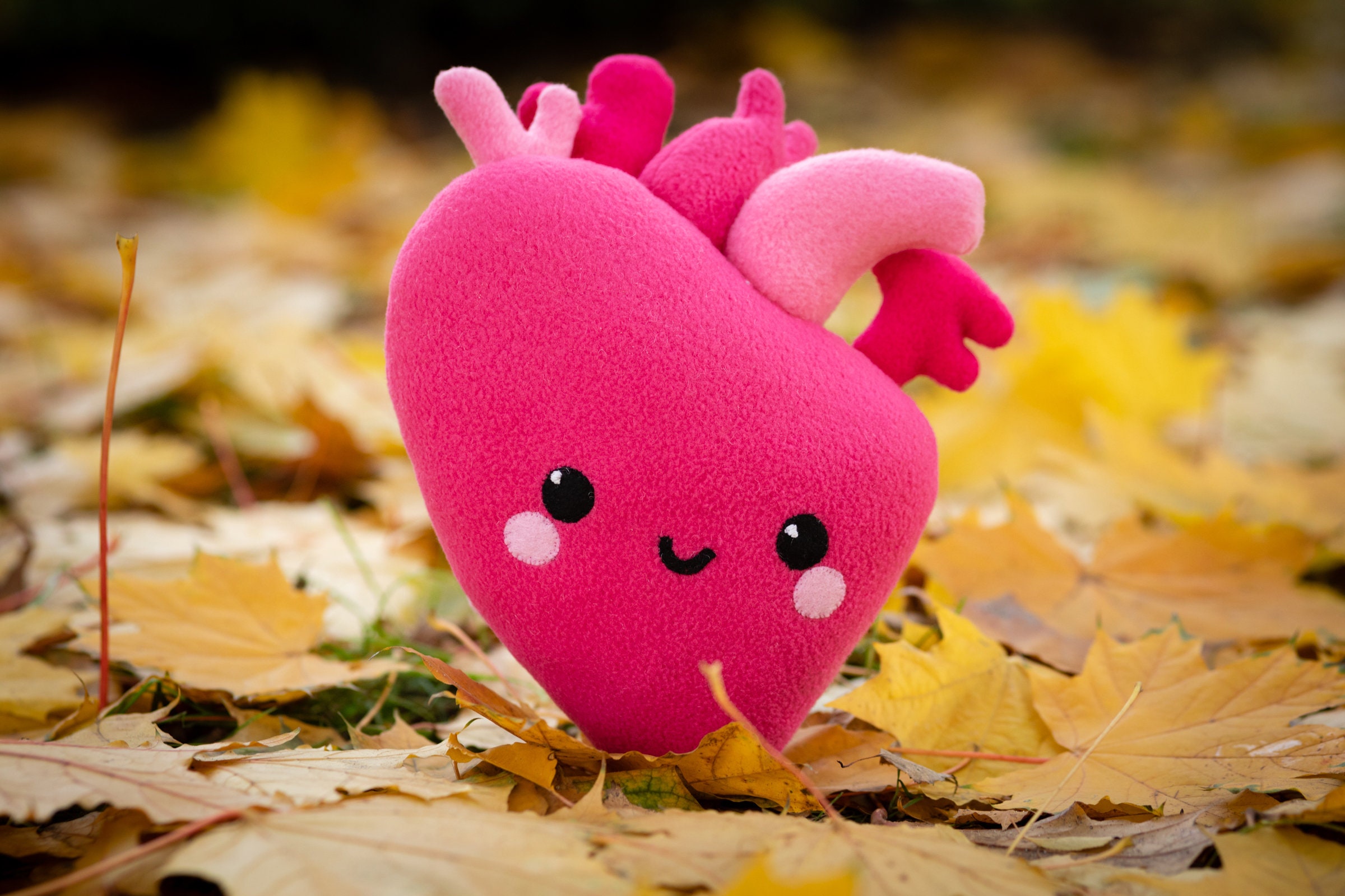 Cuore Kawaii peluche Anatomico Cuore Kawaii peluche Decorazione