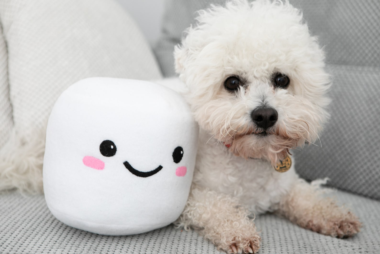 Marshmallow plush Handmade marshmallow kawaii toy 5.1x6.2 in Etsy