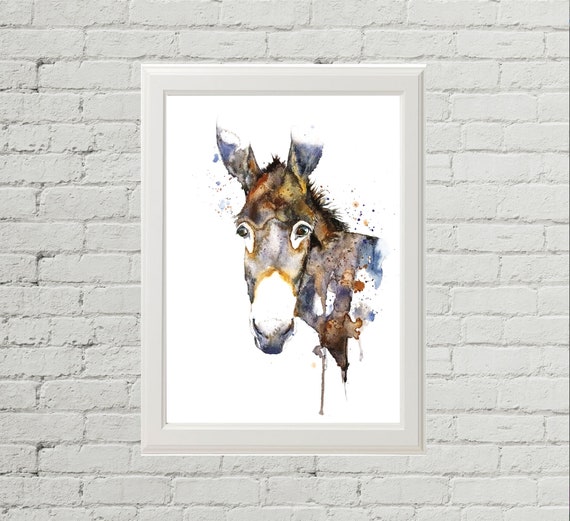 Burro pared new arrivals