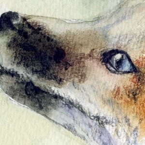 Fox Print Fox Watercolour Painting Print Original Painting Print Fox and Cub Painting Print Wildlife Painting Print Fox Watercolour Fox Art image 3