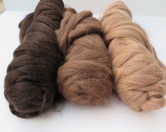 May include: Three thick, unspun bundles of wool roving arranged side by side. The colors transition from a deep, dark espresso brown on the left, to a medium chestnut brown in the center, and a light, sandy beige tone on the right side.