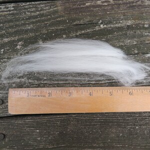May include: A tuft of white, fluffy raw wool fiber positioned above a wooden ruler. The ruler shows the fiber spans approximately 6 inches in length, demonstrating the texture and scale of the soft, unspun material for crafting projects.