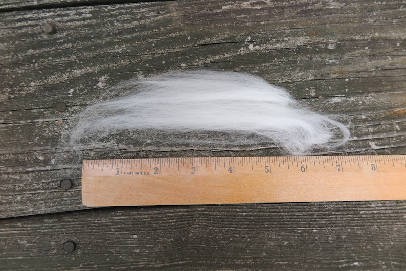 May include: A tuft of white, fluffy raw wool fiber positioned above a wooden ruler. The ruler shows the fiber spans approximately 6 inches in length, demonstrating the texture and scale of the soft, unspun material for crafting projects.