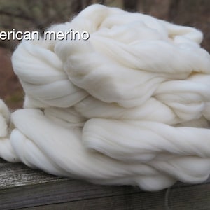 May include: A large, fluffy bundle of white American merino wool roving. The soft, unspun fibers are coiled into a thick, continuous mass. The text 'American merino' is clearly visible in the upper left corner of the image.