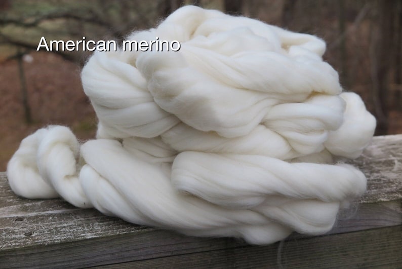 May include: A large, fluffy bundle of white American merino wool roving. The soft, unspun fibers are coiled into a thick, continuous mass. The text 'American merino' is clearly visible in the upper left corner of the image.