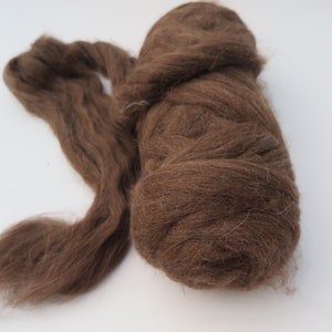 May include: A bundle of unspun brown wool roving, featuring a soft, fibrous texture. The wool is coiled into a dense, rounded mass on one side, with a long, loose strand extending outward, showcasing the natural, airy, and fluffy consistency.