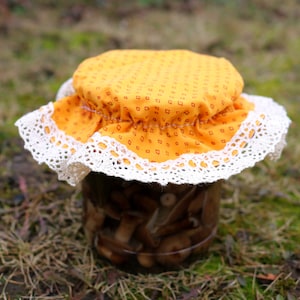 Op de afbeelding: Een glazen pot gevuld met champignons, bedekt met een gele stoffen deksel met een witte kantversiering. De pot staat op een bed van groen mos en bruin gras.